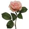 20" Pink Open Roses - Set of 48, 4" Diameter Blooms, Lifelike Artificial Flowers, Perfect for Arrangements, Events & Home Décor - Ideal for All Seasons, Floral Home by Artificial Flowers